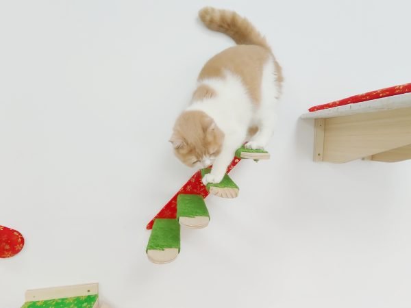 Wall-Mounted Cat Toy Wood Sisal Scratchers Set - Image 4
