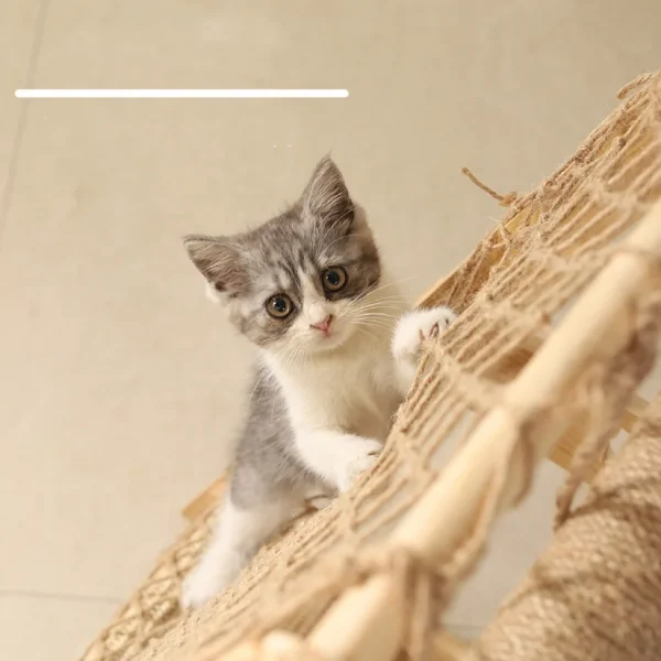 Modern Luxury Large climbing net cat climbing frame Pet House Wood Cat Tree Sisal Rope Climbing Tree - Image 3
