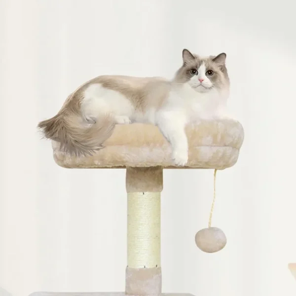 11Beige Cat Tree Cat Tower for Indoor Cats,Cat Condo with Scratching Post,Cat Tree for Large Medium Small Cat with Dangling Ball - Image 5